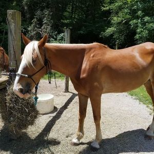 Meet your Posher, Su-ann